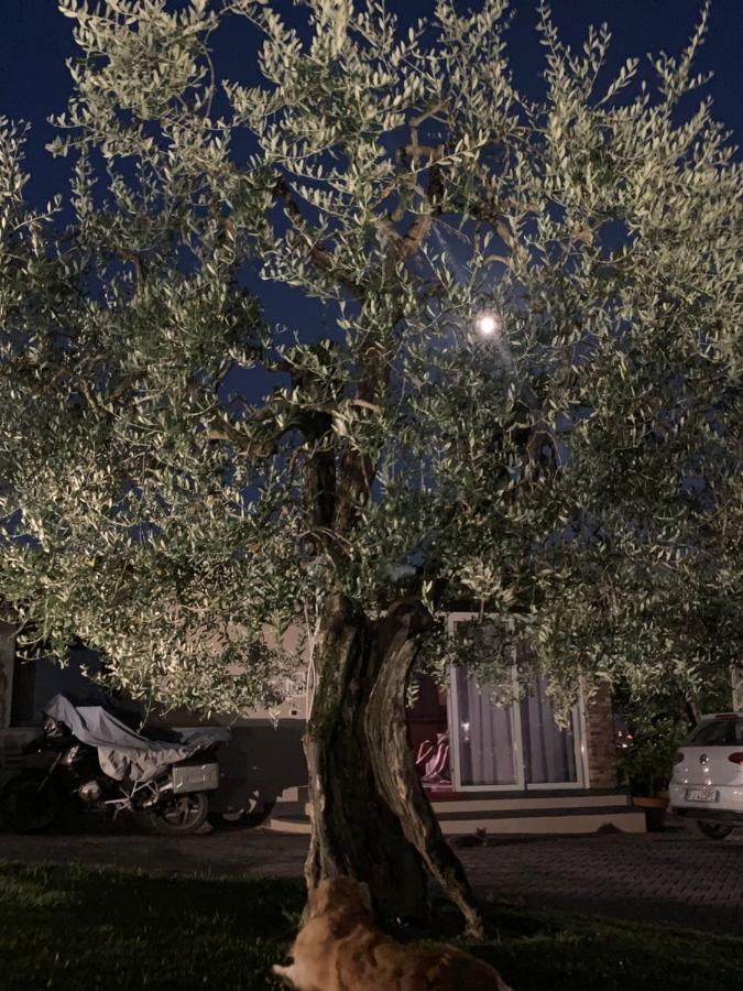 Locazione Turistica Casa Olivo Apartment Фучекио Екстериор снимка