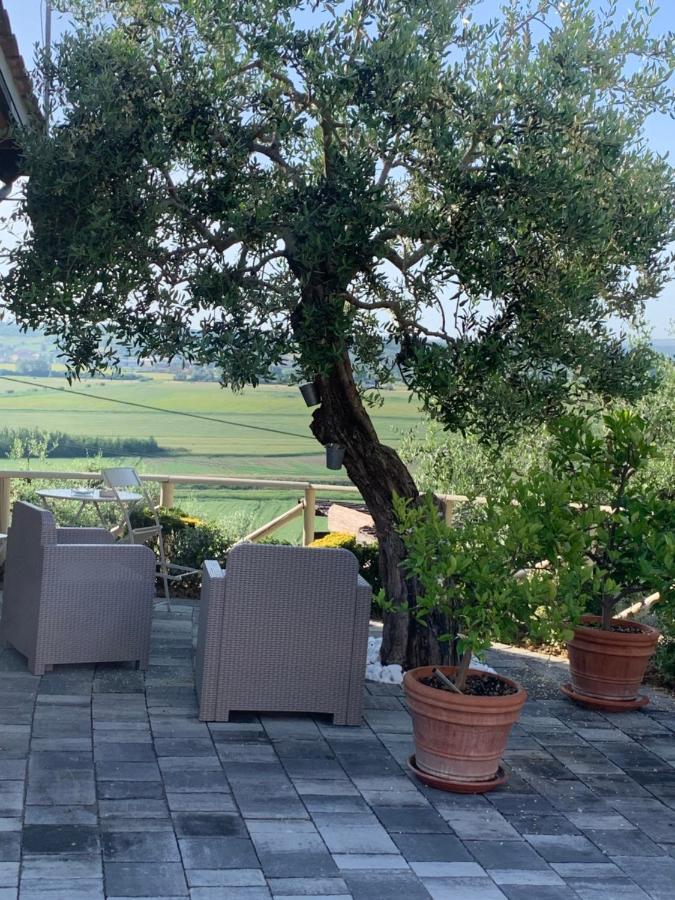Locazione Turistica Casa Olivo Apartment Фучекио Екстериор снимка